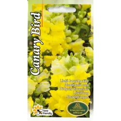 Sēklas Kurzemes sēklas lauvmutītes Canary Bird, 0.2 g