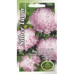 Sēklas astres peoniju silber turm