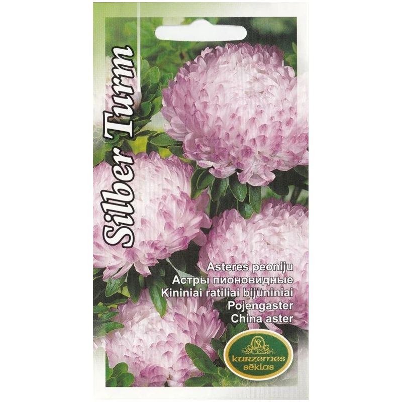 Sēklas astres peoniju silber turm