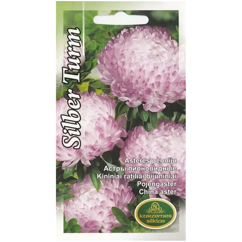 Sēklas Kurzemes sēklas asteres Silber Turm, 0.5 g