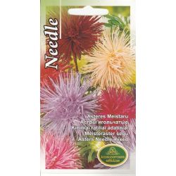 Sēklas astres meistaru jauktas