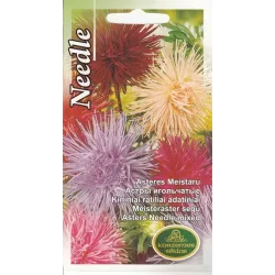 Sēklas Kurzemes sēklas asteres Needle, 0.5 g
