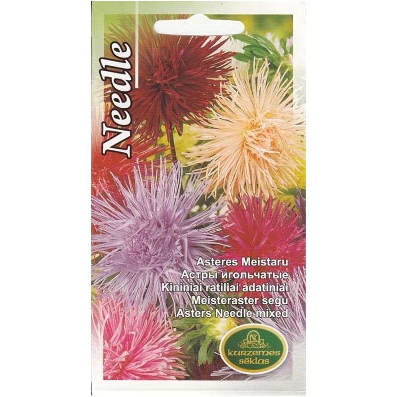 Sēklas astres meistaru jauktas