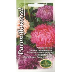 Sēklas astres peoniju jauktas