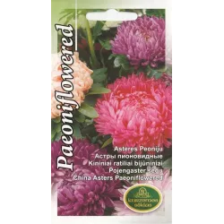 Sēklas astres peoniju jauktas