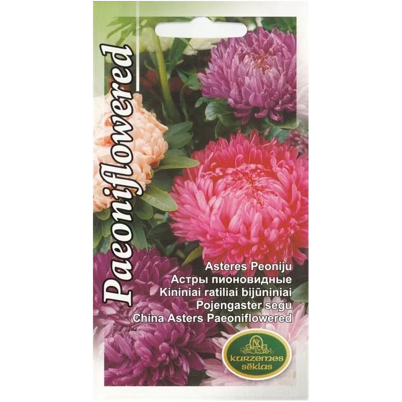 Sēklas Kurzemes sēklas asteres Paeoniflowered, 0.5 g