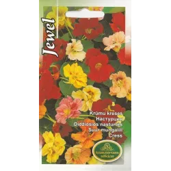 Sēklas asteres Jewel Seeds, 6 g