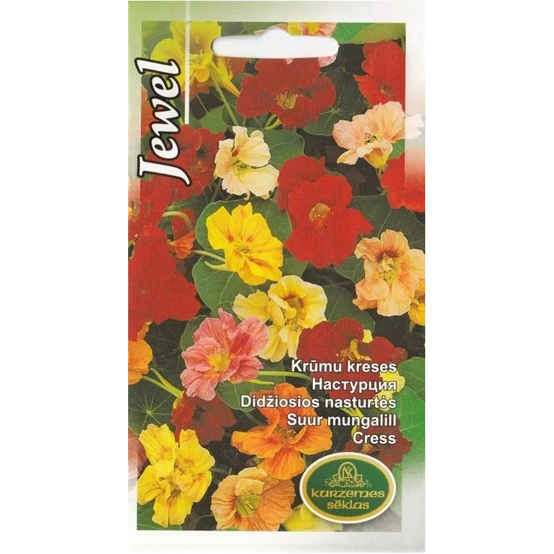 Sēklas asteres Jewel Seeds, 6 g