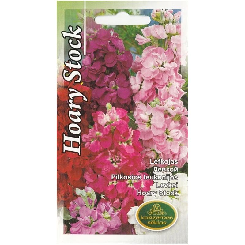 Sēklas lefkojas jauktas