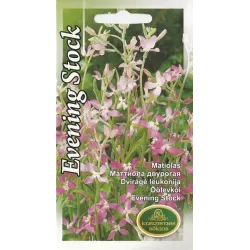 Üheaastased õhtused laoseemned, 5 g