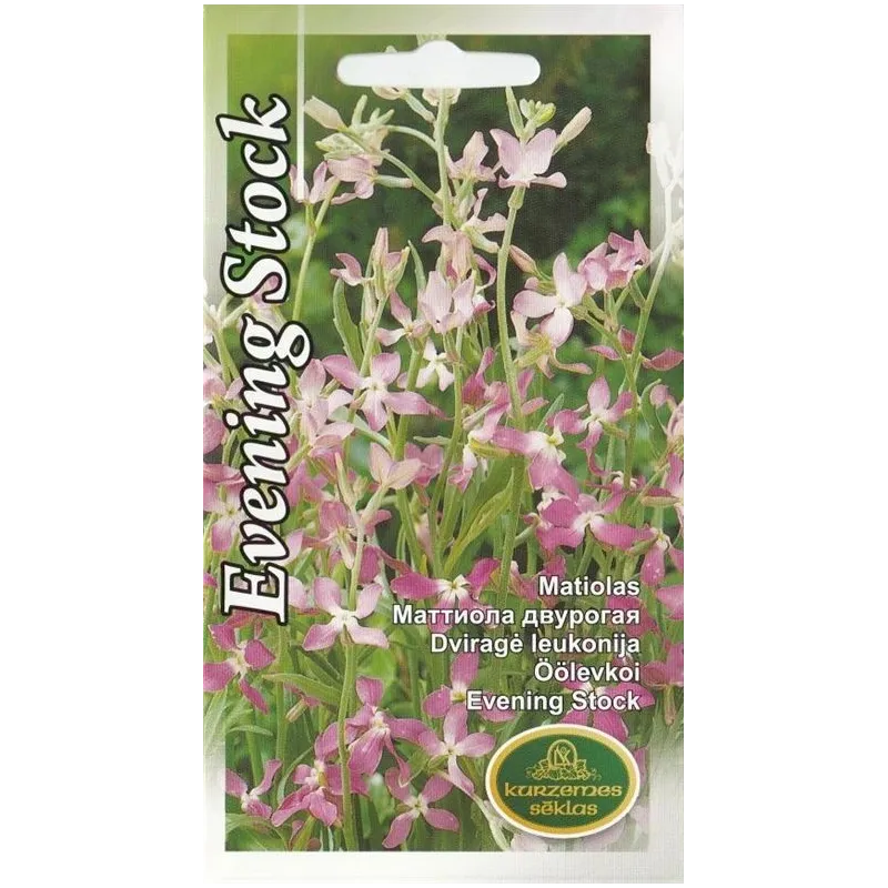 Sēklas viengadīgās Evening Stock, 5 g