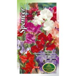 Sēklas puķu zirņi spencer jaukti