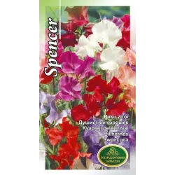 Sēklas Kurzemes sēklas viengadīgās Spencer Mix, 5 g