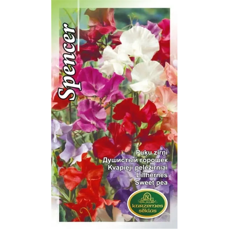 Sēklas Kurzemes sēklas viengadīgās Spencer Mix, 5 g