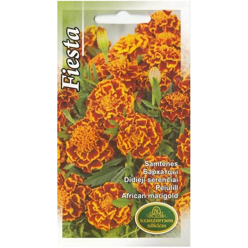 Sēklas Kurzemes sēklas samtenes Fiesta, 4 g