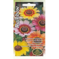 Sēklas krizantēmas rainbow