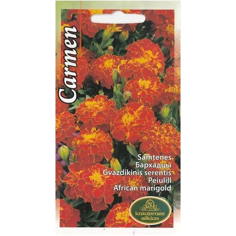 Sēklas Kurzemes sēklas samtenes Carmen Seeds, 4 g