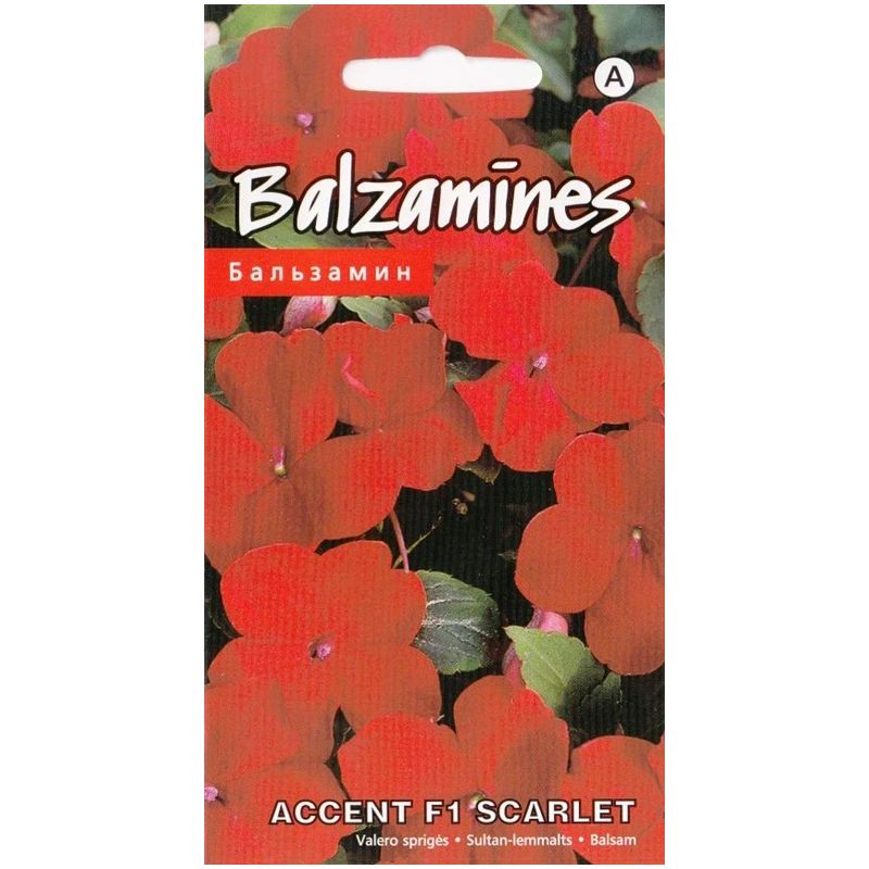 Sēklas balzamīnes accent f1 scarlet