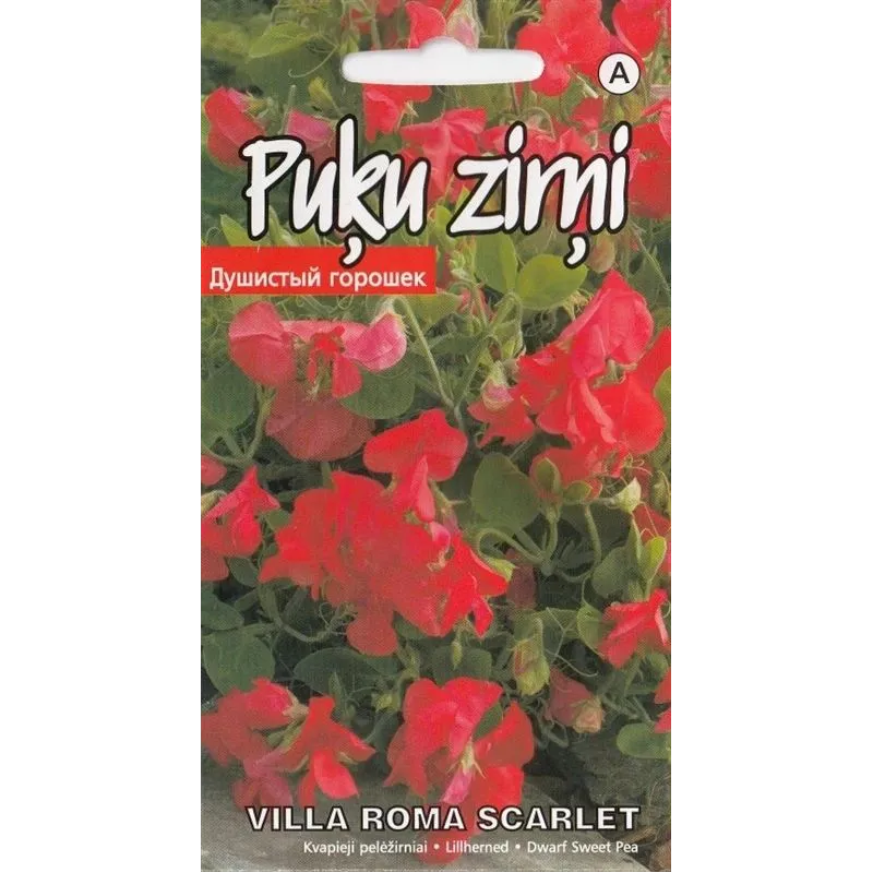 Sēklas Kurzemes sēklas puķu sēklu izlase Villa Roma Scarlet, 4 g