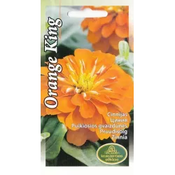 Sēklas cīnijas Zinnia Orange King, 4 g