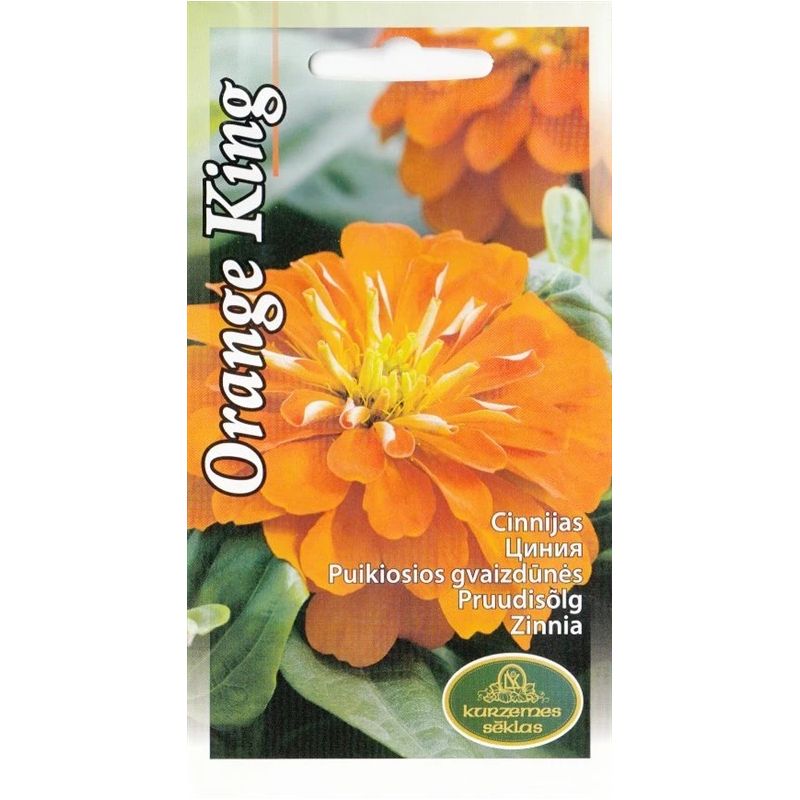 Sēklas cinnijas orange king
