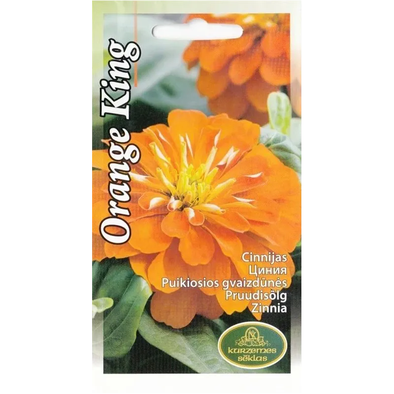 Sēklas cīnijas Zinnia Orange King, 4 g