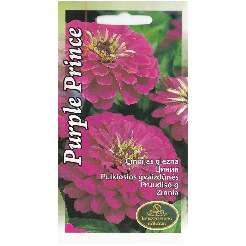 Sēklas cīnijas Zinnia Purple Prince, 4 g