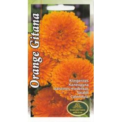 Sēklas kliņģerītes fiesta gitana orange