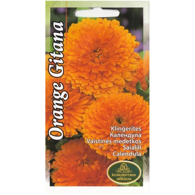 Sēklas kliņģerītes fiesta gitana orange