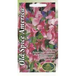Sēklas Kurzemes sēklas viengadīgās Old Spice America, 4 g