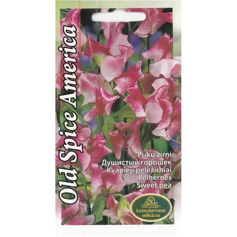 Sēklas Kurzemes sēklas viengadīgās Old Spice America, 4 g