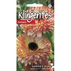 Sėklos Kuržemės sėklos, klinčiukai Sunset Buff, 1 g