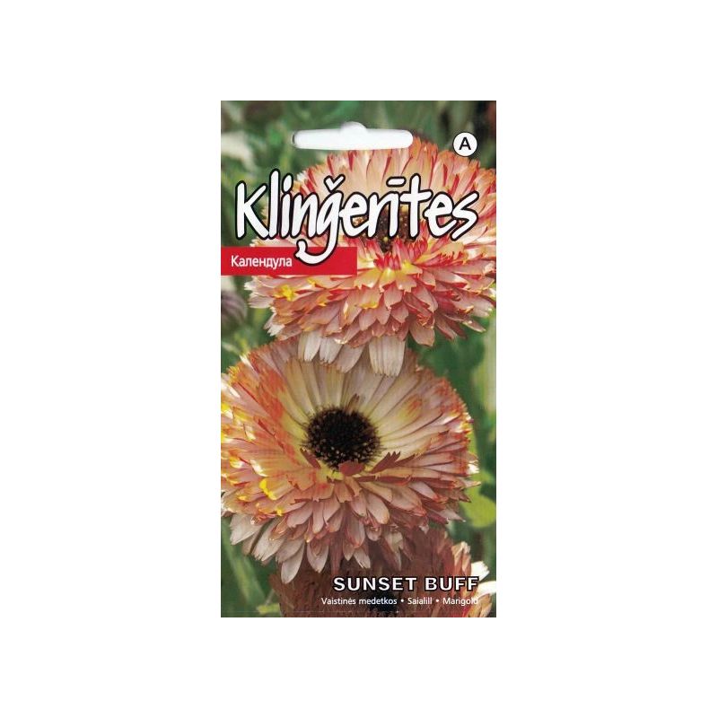 Sēklas kliņģerītes sunset buff