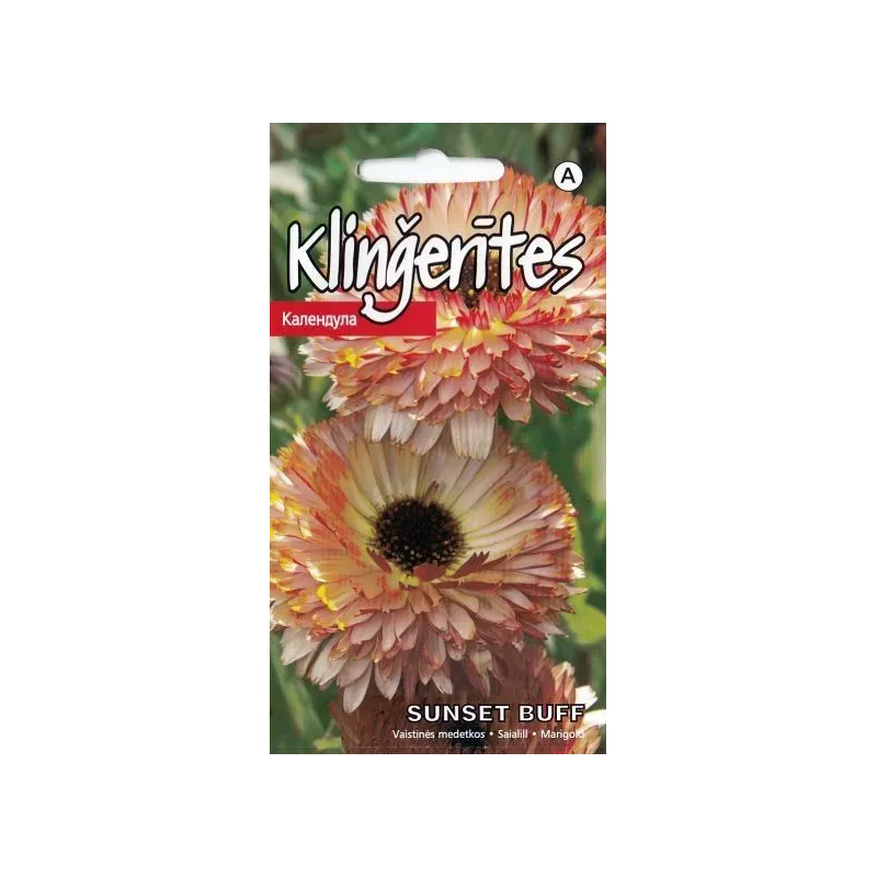 Sēklas Kurzemes sēklas, kliņģerītes Sunset Buff, 1 g