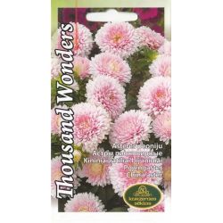 Sēklas astres thousand wonders salmon