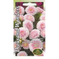 Sēklas Kurzemes sēklas asteres, 0.3 g