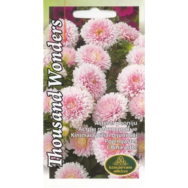 Sēklas Kurzemes sēklas asteres, 0.3 g