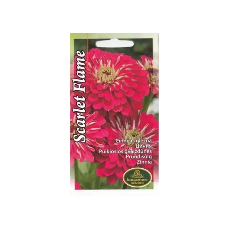 Sēklas cīnijas Scarlet Flame, 4 g