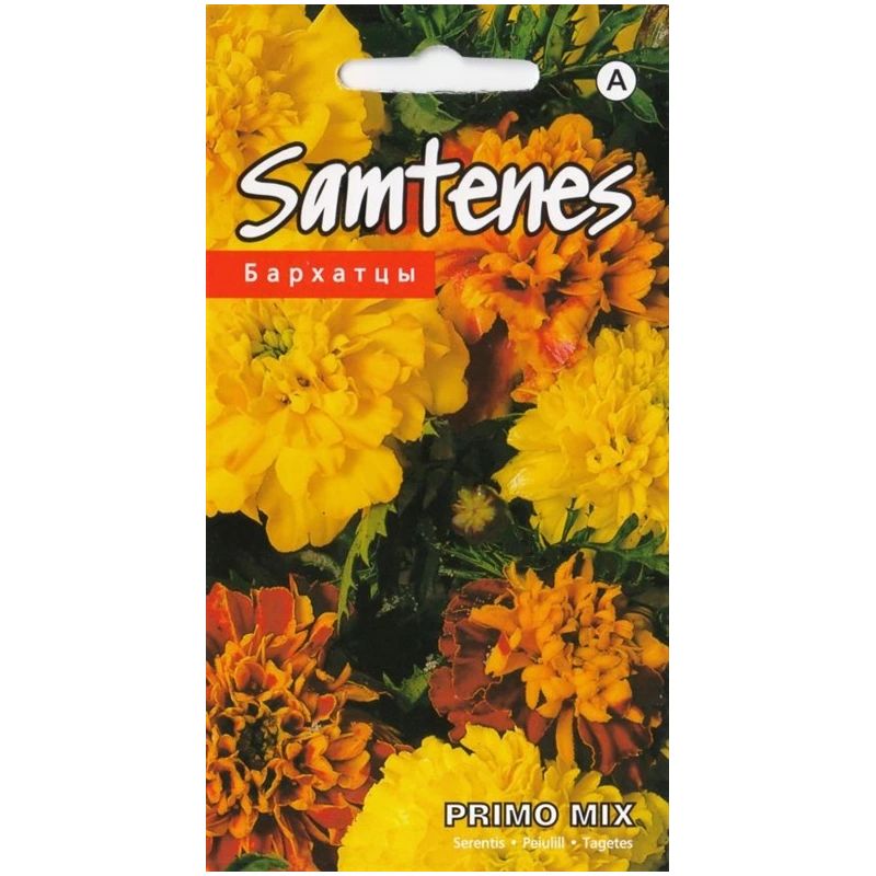 Sēklas samtenes primo mix