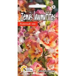 Sēklas lauvmutītes antiquity f1 orangebi