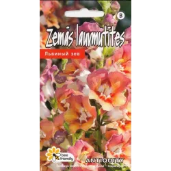 Sēklas lauvmutītes Antiquityf 1 Orange Bicol, 3 g