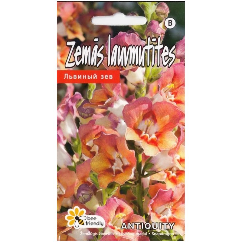 Sēklas lauvmutītes antiquity f1 orangebi