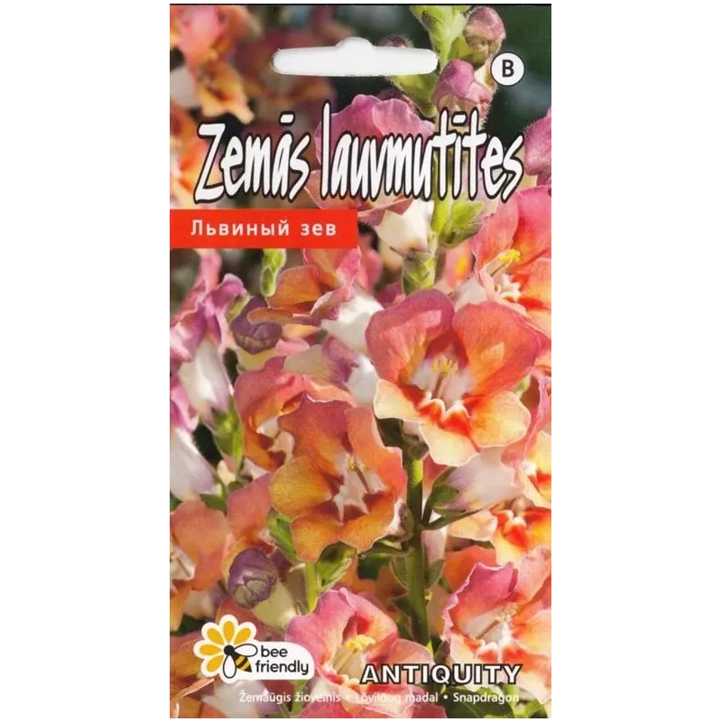 Sēklas lauvmutītes Antiquityf 1 Orange Bicol, 3 g