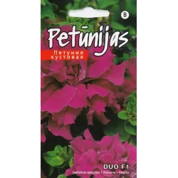 Sēklas Kurzemes sēklas petūnijas Duo F1 Burgundy, 3 g