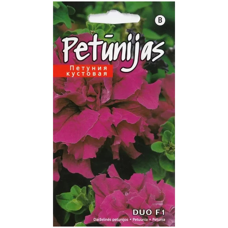 Sēklas Kurzemes sēklas petūnijas Duo F1 Burgundy, 3 g