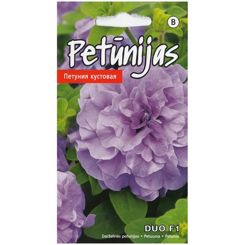 Sēklas petūnijas duo f1 lavender