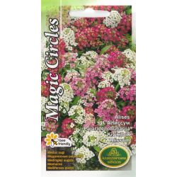 Sēklas alises magic circles jauktas 1g