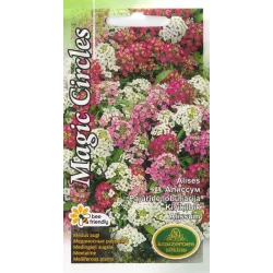 Sēklas Kurzemes sēklas alises, 1 g