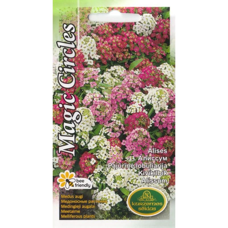 Sēklas alises magic circles jauktas 1g