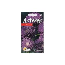 Sēklas asteres trobador violet
